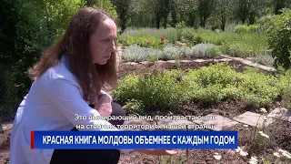 Красная Книга Молдовы объемнее с каждым годом