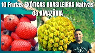 Português fica a conhecer 10 Frutas EXÓTICAS BRASILEIRAS Nativas da AMAZÔNIA Que Vão Te Surpreender.