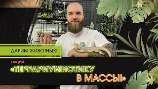 ГРАНДИОЗНАЯ АКЦИЯ В EKZOMANIA! ДАРЮ ЖИВОТНЫХ НОВИЧКАМ! СМОТРЕТЬ ВСЕМ ! / Дмитрий Собин