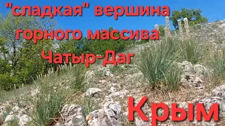 "Сладкая" вершина горного массива Чатыр-Даг в Крыму