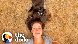 Woman Tries For 3 Years To Win Over Feral Cat | The Dodo