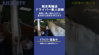 【競走馬輸送】新人研修に密着  #馬運車 #研修 #shorts