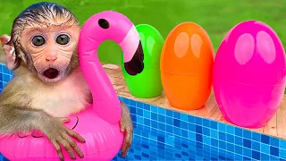 Baby Monkey BonBon Swims with Cute Animals and Eats Ice Cream with Cute Puppy - BonBon Farm