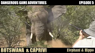 Elephant nearly killed us Hunting in Botswana