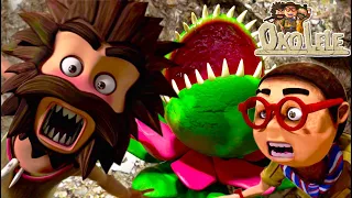 Oko Lele 🦕 The Flowers 🌹🌷 NEW EPISODE 🦖 Animated short | Chuck Chicken Cartoons