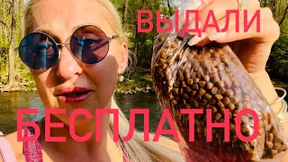 #usa БЕСПЛАТНАЯ ЕДА/НАДОВИЛА НА ЖАЛОСТЬ😂