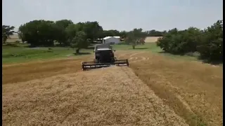 Dirt Poor Farms Wheat Harvest 2021