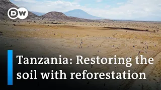 Justdiggit: Restoring dry land in Tanzania | Global Ideas