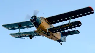 Rare Antonov AN-2 Flying 2023 [4k60]