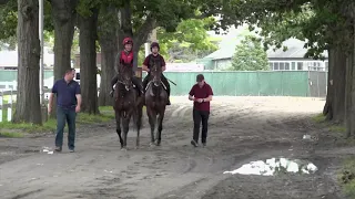 Mendelssohn Clears Quarantine, Jogs on the Training Track