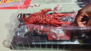 Hot Toys Carnage unboxing