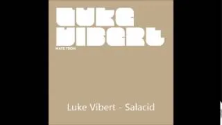 Luke Vibert - Salacid