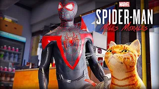 SPIDER CAT Mission - Spider-Man Miles Morales (PS5)