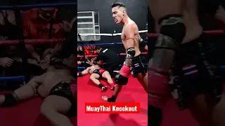 MuayThai Knockout Jatobá Fight Striker #shorts #fight #youtubeshorts #muaythai #ufc #fight #mma