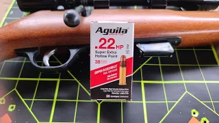 Aguila Super Extra 38gr .22LR Ammo Test W/ Marlin Glenfield Model 25