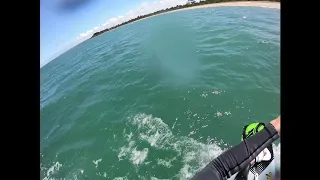 Balnarrring Kitesurf with Dolphin