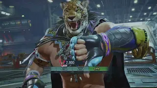 Tekken 8 CNT - jin vs King (Hunter)