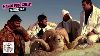 Grueling Hunt for Marco Polo Sheep in Tajikistan