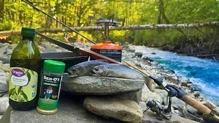 Brook Trout Catch And Cook Adventure Through The Woods!
