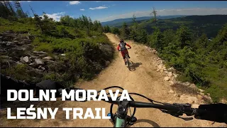 Dolni Morava Trail Park - Oakley Trail (Červené/Czerwona)