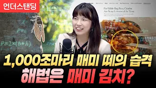 올 여름 미국에 매미 1,000조마리가…이래서 ‘천조국’인가… (중동고등학교 안주현 과학선생님)