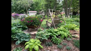 Late June Backyard Cottage Garden Tour