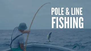 What is Pole & Line Fishing?