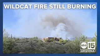 Wildcat Fire grows to more than 14,000 acres, closure continues for part of Tonto National Forest