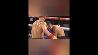 Lomachenko vs Crolla: Anthony Crolla knocked. #lomachenko #boxing #tko #бокс #нокаут #ломаченко