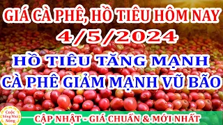 Giá cà phê hôm nay ngày 4/5/2024 | giá cà phê BIẾN ĐỘNG MẠNH VŨ BÃO