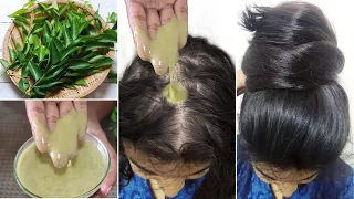 I applied this Scalp Serum-For Non Stop Triple Hair Growth & Hair Density- गंजे सर में भी उगे नए बाल