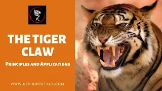 How To Do The Tiger Claw Technique (Effectively!)