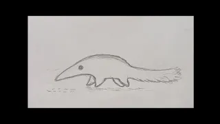 Ant Eater Drawing / #shorts #design #drawing