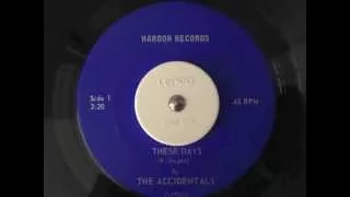 The Accidentals - These Days - Harbor Records