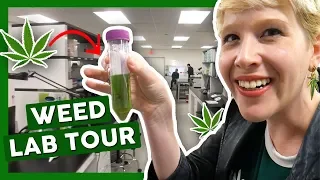 Tour Inside a LEGAL WEED TESTING LAB