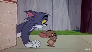 Tom and Jerry Episode #136 / Том И Джерри эпизод #136