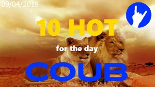 Hot Ten COUB for 09/04/2019