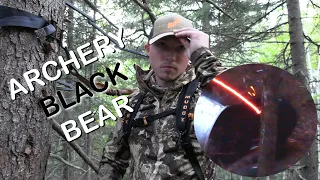 Bow Hunting Black Bear | FIRST BEAR!!