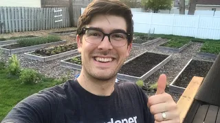 Can we Fit 18 Tomato Plants in Less Than 50 Square Feet?