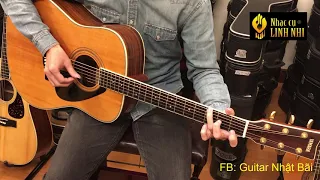 Test đàn Guitar Acoustic Yamaha L5