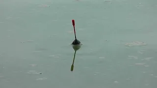 Рыбалка  на карася по холодной воде