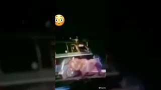 هجوم دب على السيارات 🥺