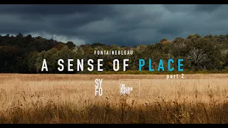 A Sense of Place | Bouldering in Fontainebleau | Part 2