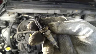 Wet Spark Plugs. What is wrong in my Engine?