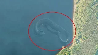 7 Mysterious Deep Sea Creatures Spotted On Google Earth