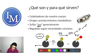 Bioquímica | Enzimas | Catalizadores Enzimáticos