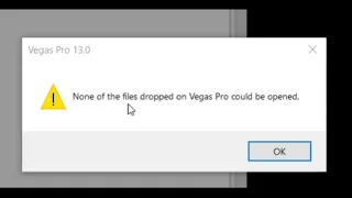 None of the files dropped on Vegas Pro Could be opened.
