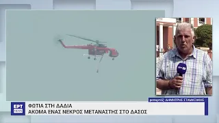 Φωτιά στη Δαδιά: Ακόμα ένας νεκρός μετανάστης στο δάσος | 25/8/2023 | ΕΡΤ