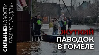 Паводок в Гомеле затапливает дома / Возврат денег от мошенников / Почему в Беларуси дешевеет бензин