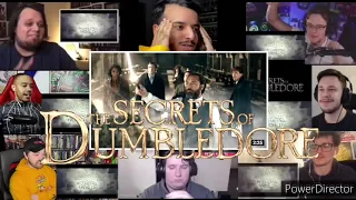 Fantastic Beasts Secrets of Dumbledore Trailer Reaction Mashup